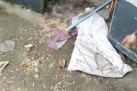 Gấu dữ đột nhập nhà dân để “săn người”: Hiện trường vụ việc ám ảnh và hỗn loạn