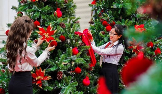 Giới trẻ thích thú check-in vườn thông "khổng lồ" tại khu đô thị Danko City