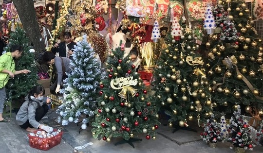 Hàng trăm triệu người chi tiền cho Noel, điều bất ngờ ở cây thông thật và giả