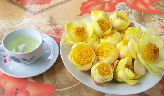 Có nên trồng cây trà hoa vàng trước nhà, vị trí trồng giúp gia chủ nhiều tiền