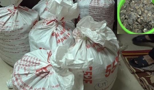 Tóm gọn nhóm đối tượng buôn bán số lượng lớn động vật nguy cấp, quý hiếm
