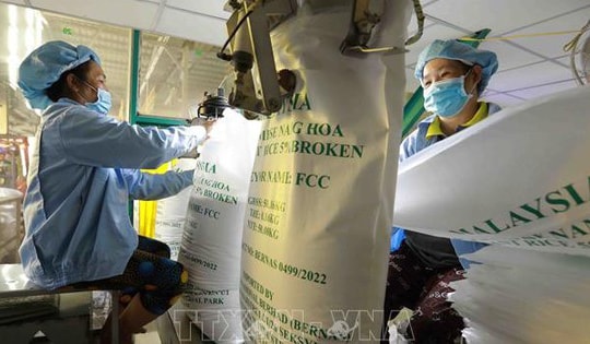 Thị trường nông sản: Giá gạo xuất khẩu tiếp tục biến động