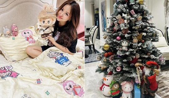 Cây thông độc đáo, thể hiện gia chủ 'giàu ngầm' của MC Vân Hugo