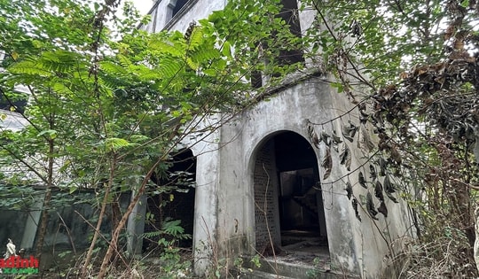 Hà Nội: Loạt biệt thự 'triệu đô' ở Hoài Đức bỏ hoang nhiều năm, gây lãng phí nghiêm trọng