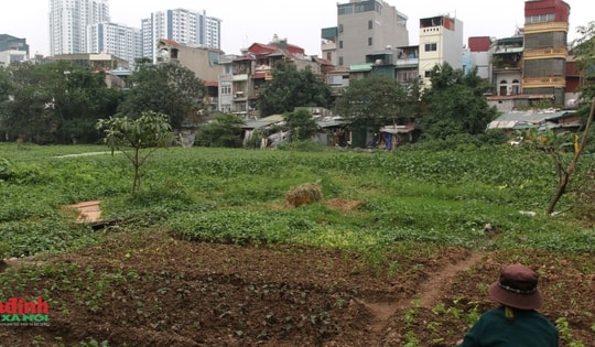 Hà Nội: Mòn mỏi chờ dự án cải tạo, hồ Rẻ Quạt nhếch nhác, ô nhiễm nghiêm trọng