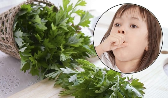 Cách dùng ngải cứu trong chăm sóc sức khỏe