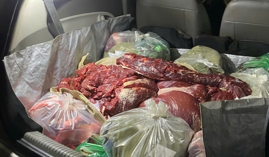 Kinh hoàng gần 2 tạ thịt bò bốc mùi, đang phân hủy vẫn được 'ém' trên ô tô để đưa đến quán ăn tiêu thụ
