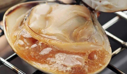 Chợ hải sản Tết: Chỉ 1 con sò bơ giá lên tới 500.000 đồng