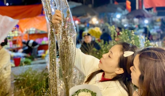 Loại hoa đào nhập khẩu, giá tốt được chị em thi nhau mua về chơi từ trước Tết 2025