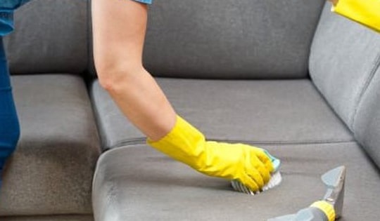 Mẹo làm sạch nấm mốc, vết ố trên ghế sofa