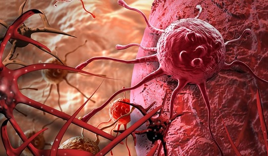 Tìm ra loại gia vị có khả năng phòng ung thư bán nhan nhản ở chợ Việt mà ít người biết