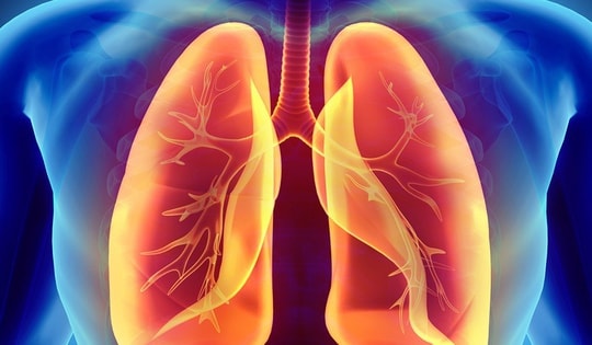 4 bí quyết giúp phổi khỏe mạnh, tăng cường hệ miễn dịch hô hấp