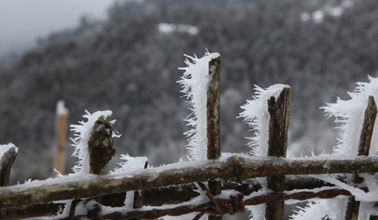Những phát hiện thú vị về gió mùa đông bắc và không khí lạnh tăng cường