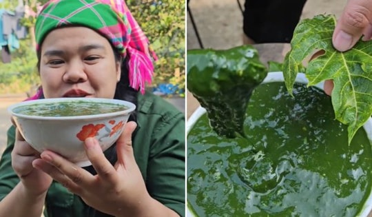 Nàng dâu Tây Bắc chế biến món ngon từ rêu thu hút hàng triệu lượt xem
