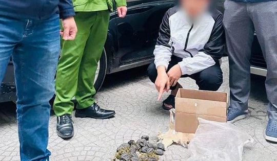 Thu giữ 30 cá thể rùa quý hiếm đang trên đường vận chuyển đi bán