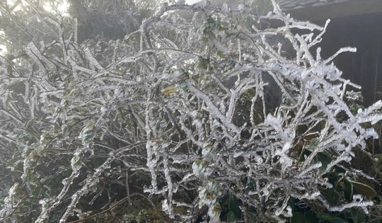 Băng giá tiếp tục phủ kín đỉnh núi Fansipan