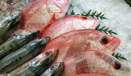 6 nhóm người nên thận trọng và hạn chế ăn cá