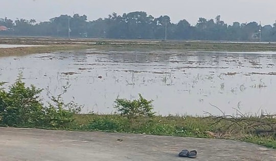 Bí thư chi bộ thôn bị chém nhập viện khi đo đạc ruộng đất