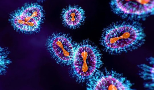 Virus HMPV gây viêm phổi ở người có lây qua quan hệ tình dục?