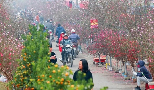 Hà Nội tổ chức 70 chợ hoa xuân dịp Tết Nguyên đán Ất Tỵ