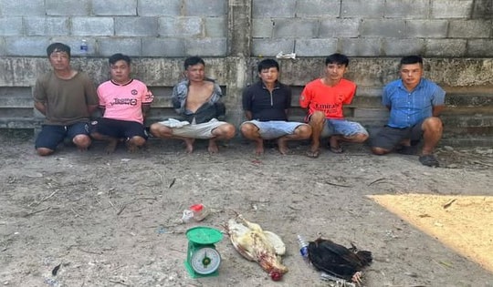 Triệt phá tụ điểm đá gà ăn tiền, bắt giữ 6 đối tượng