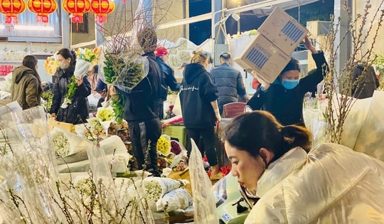 Đào truyền thống đang phải 'bon chen' với những loại đào nào đang rất ‘hot’ trên thị trường phục vụ người dân chơi Tết 2025