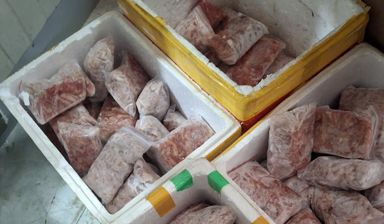 Hà Nội: Phát hiện hơn 2,1 tấn thực phẩm đông lạnh chưa được kiểm định
