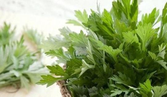 Treo túi lá ngải cứu ở đầu giường có tác dụng gì?