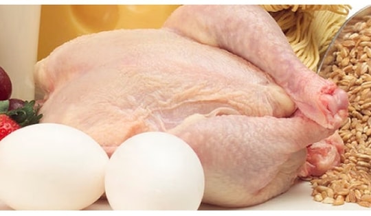 ­Gà và trứng: Loại nào có nhiều protein tốt hơn?