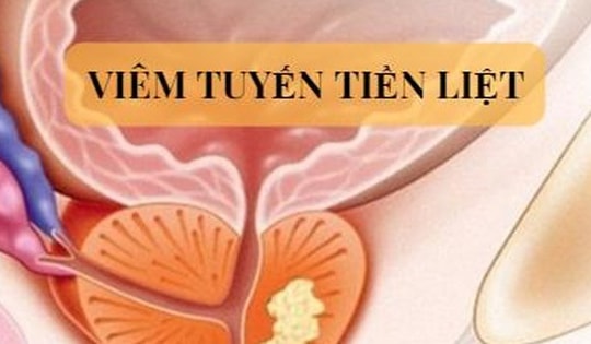 4 món cháo thuốc tốt cho người viêm tuyến tiền liệt