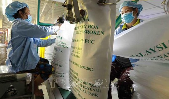 Thị trường nông sản: Giá lúa, gạo đồng loạt giảm