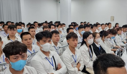 Người Việt Nam đi làm việc tại nước ngoài sẽ được tính lương hưu như thế nào?