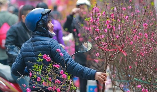 Tin tối 16/1: Hà Nội đón không khí lạnh, trời rét nhất 9 độ; Năm đầu nhận thưởng Tết theo Nghị định 73, giáo viên được hưởng bao nhiêu tiền?