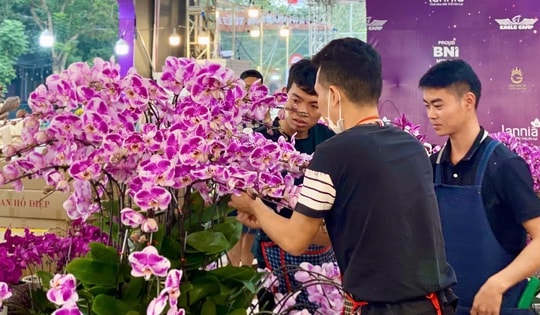 Nghề ‘hái’ ra tiền dịp Tết, làm cả ngày không hết việc kiếm thu nhập ‘siêu khủng’