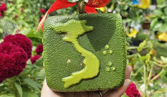 Loại trái cây độc, lạ 'lên ngôi' mùa Tết Ất Tỵ 2025