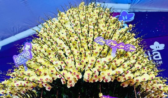 Cận cảnh chậu hoa lan hồ điệp dát vàng, đính kim cương rao bán gần 4 tỷ đồng