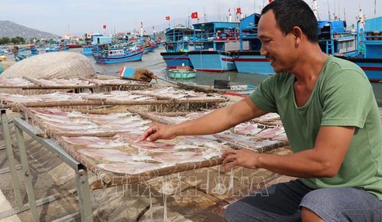 Giá nhiều loại hải sản khô tăng cao dịp cận Tết