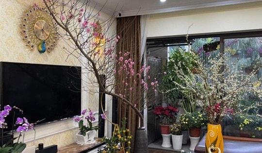 Áp dụng mẹo phong thủy ngày Tết dưới đây để đón tài lộc, may mắn cho gia đình trong suốt năm mới