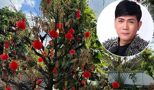 Cơ ngơi 35 tỷ nơi 6 giúp việc và 1 y tá người Mỹ luôn túc trực chăm con bị bệnh của Quách Thành Danh rộn ràng sắc xuân đón Tết