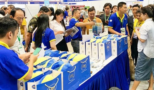 Du lịch Việt Nam trọn vẹn với AB Travel