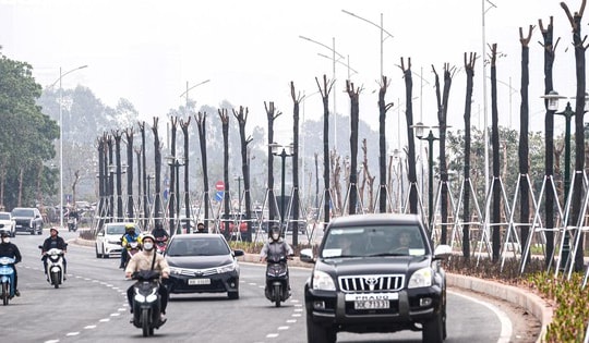 Hà Nội thông xe tuyến đường gần 750 tỷ đồng phục vụ người dân dịp Tết