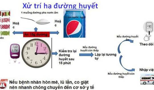 Phòng hạ đường huyết cho người đái tháo đường trong ngày Tết