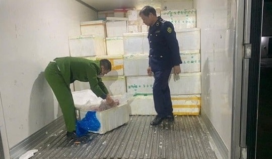 Chặn 7 tấn lòng lợn chuẩn bị đưa ra thị trường