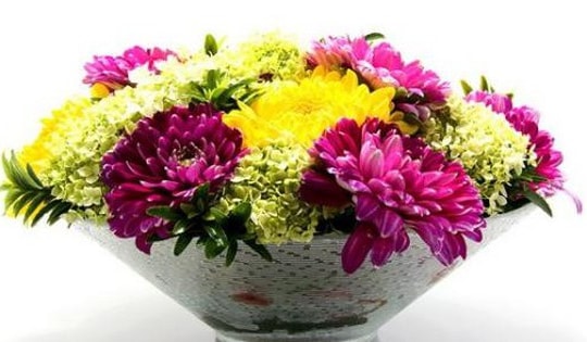 Cách cắm hoa cúc đẹp mang sung túc vào nhà cho ngày Tết 2025