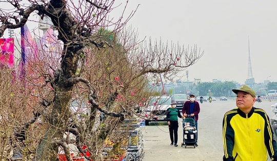 Chợ hoa Tết tấp nập hàng nhưng ‘kén’ người mua