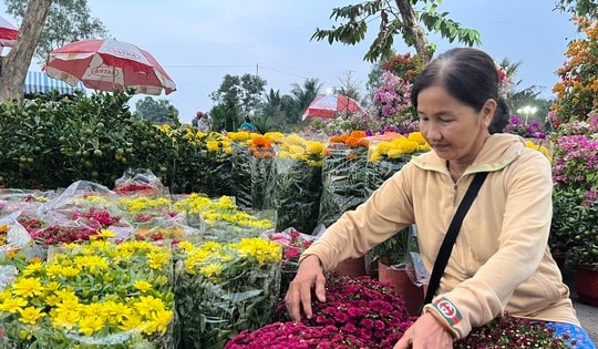 Chợ hoa Tết giá 'mềm' hút khách có thu nhập thấp