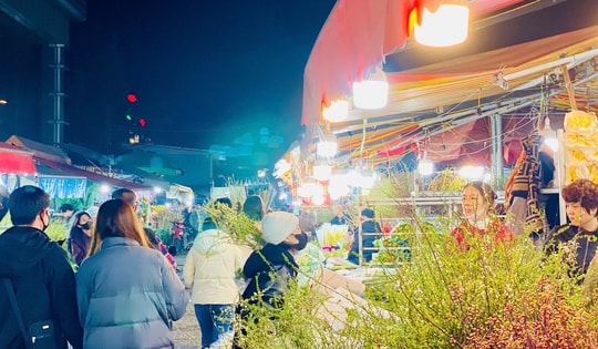 Chợ hoa lớn bậc nhất Thủ đô tấp nập ngày cận Tết 2025