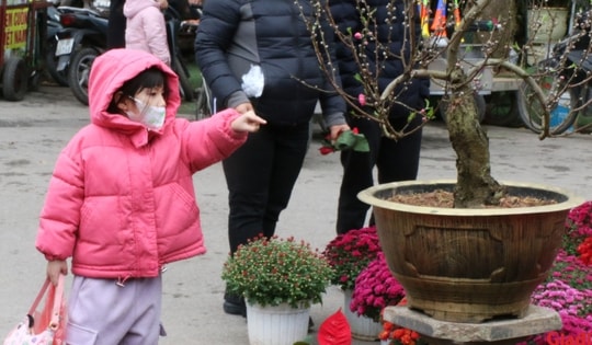 Thăm chợ hoa lâu đời bậc nhất Thủ đô những ngày giáp Tết