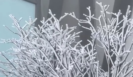 Nhiệt độ Sa Pa xuống -2 độ C,  đỉnh Fansipan tuyết rơi trắng xóa