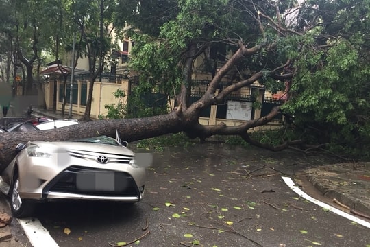 Những khu vực ô tô tránh đỗ khi trời mưa bão